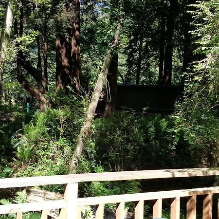 翡翠森林山林小屋 特立尼达 客房 照片