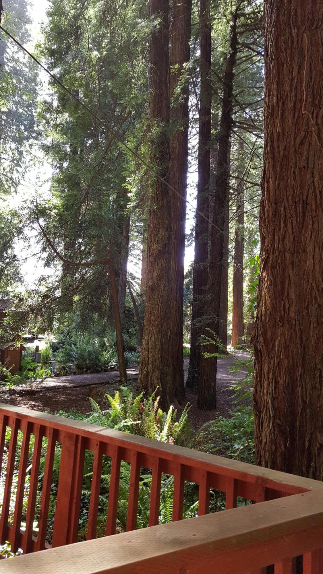 翡翠森林山林小屋 特立尼达 客房 照片