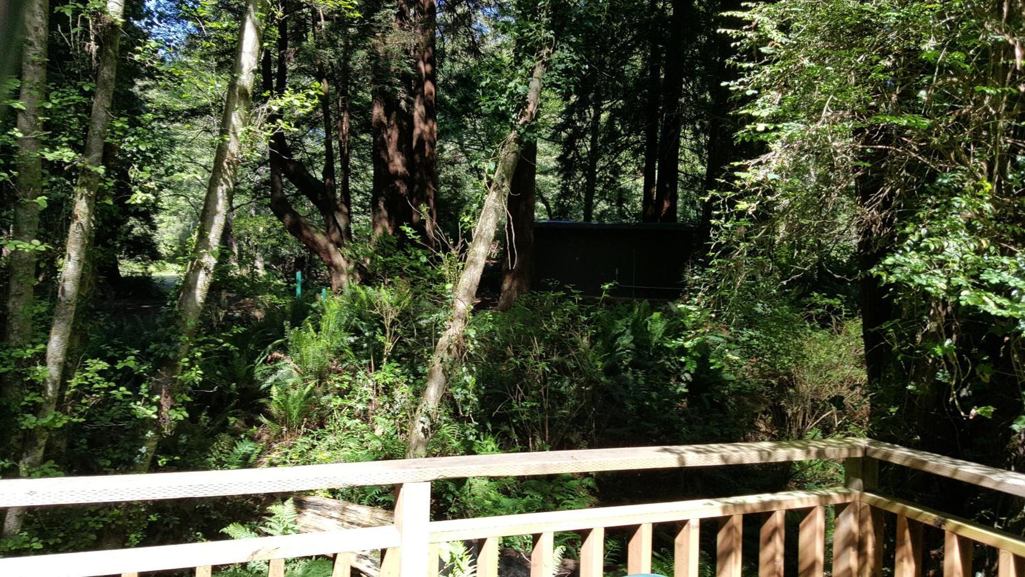 翡翠森林山林小屋 特立尼达 客房 照片