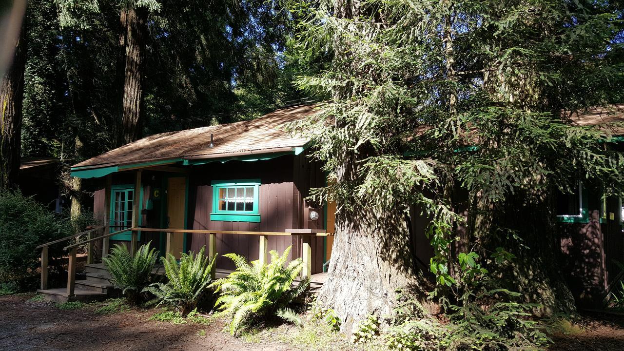 翡翠森林山林小屋 特立尼达 外观 照片