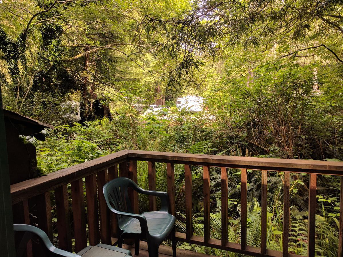 翡翠森林山林小屋 特立尼达 客房 照片